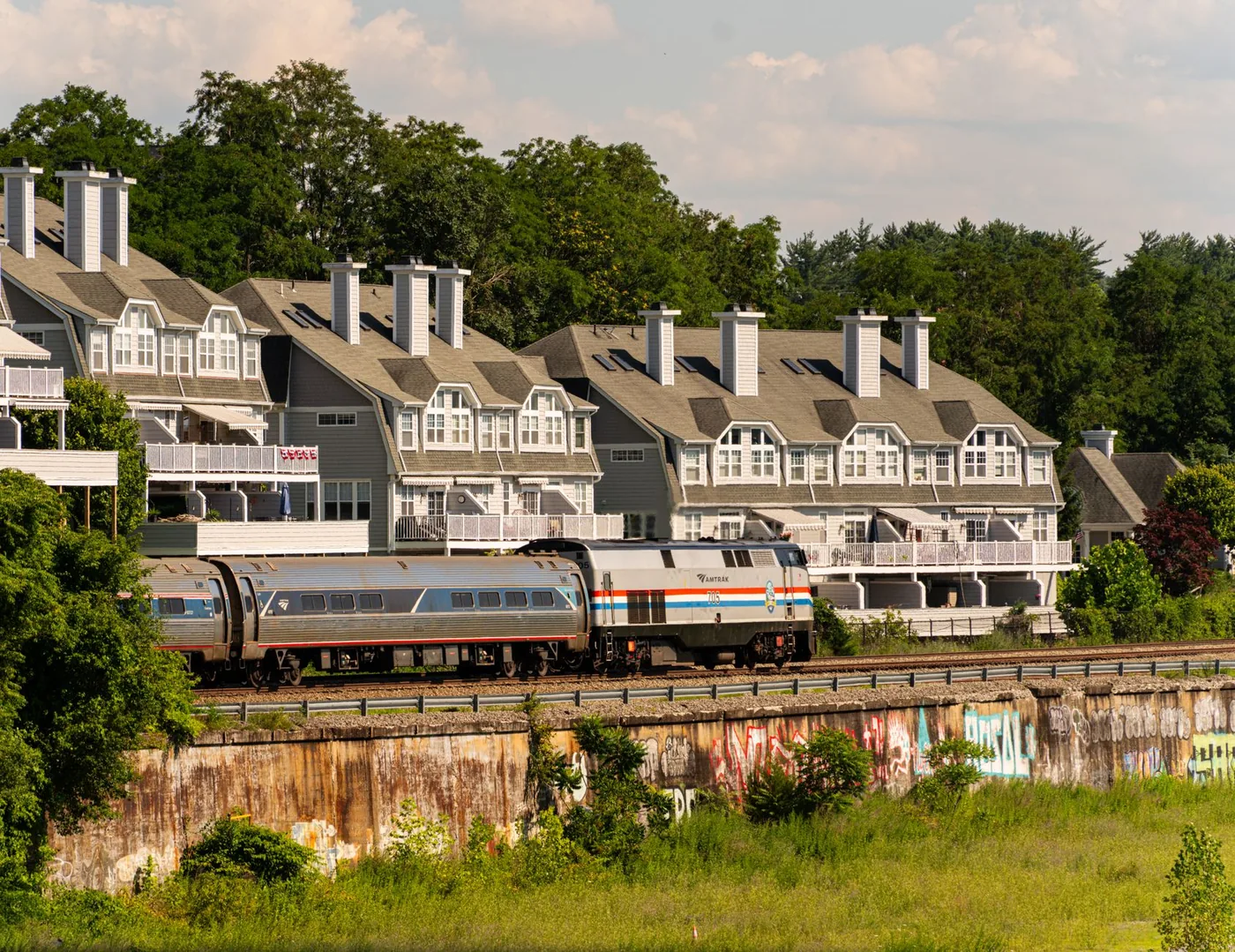 A passenger train passes by picturesque suburban homes on a sunny day.